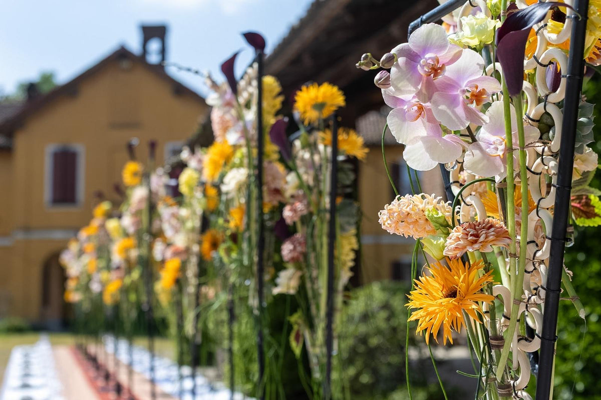 Progetto botanico DFlowers