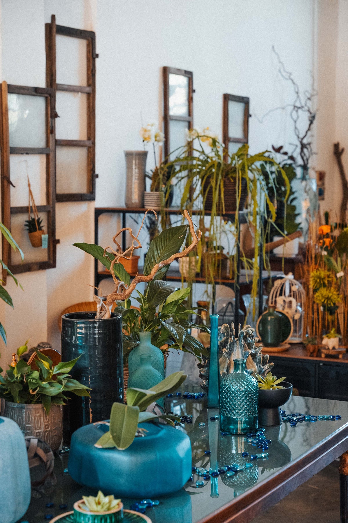 Interno del Botanic Lab