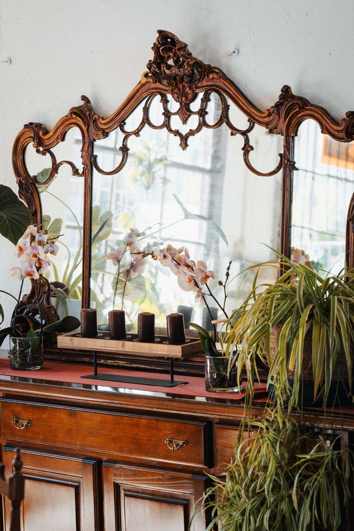 VISITA IL BOTANIC LAB