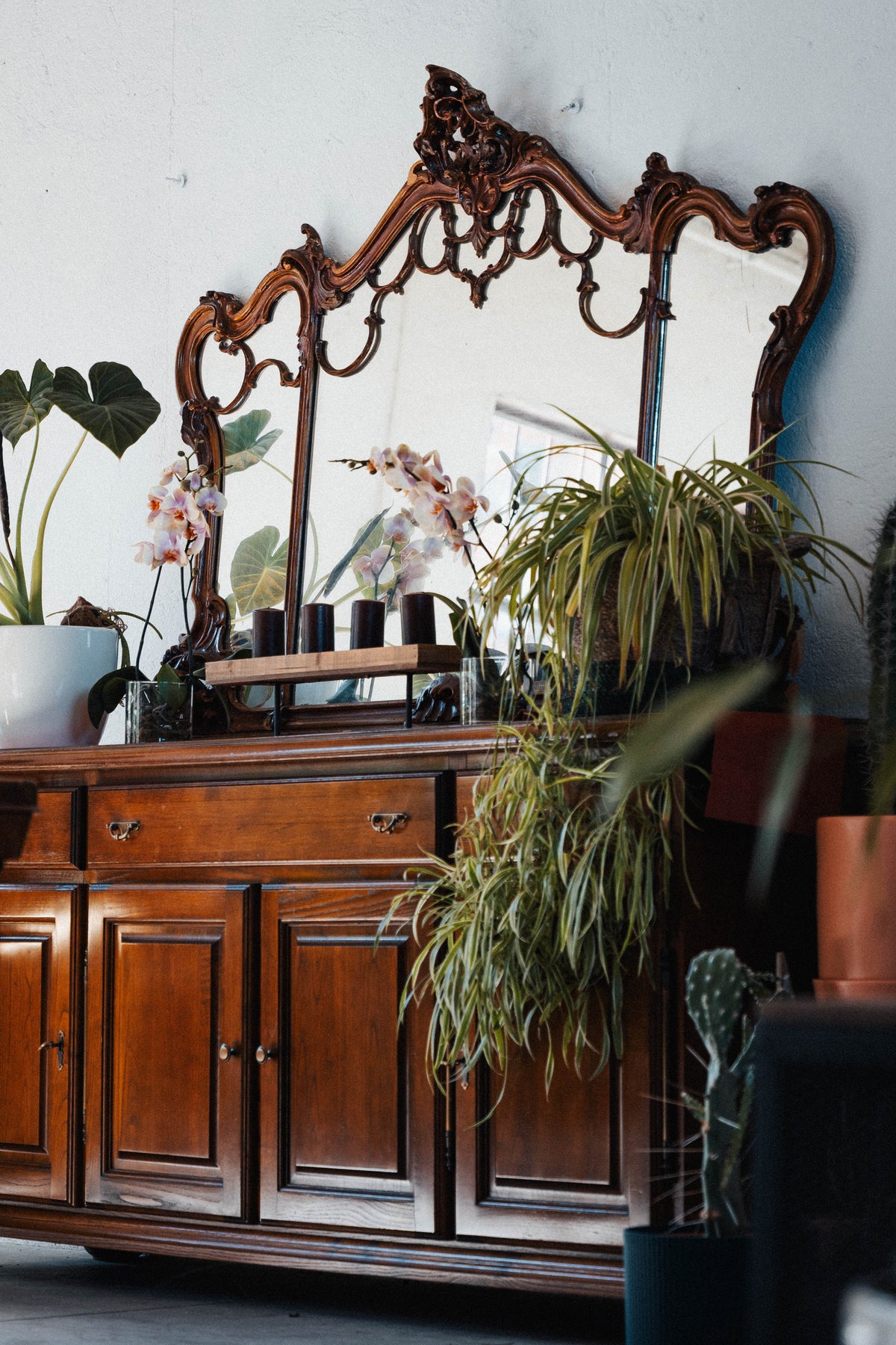 Interno del Botanic Lab